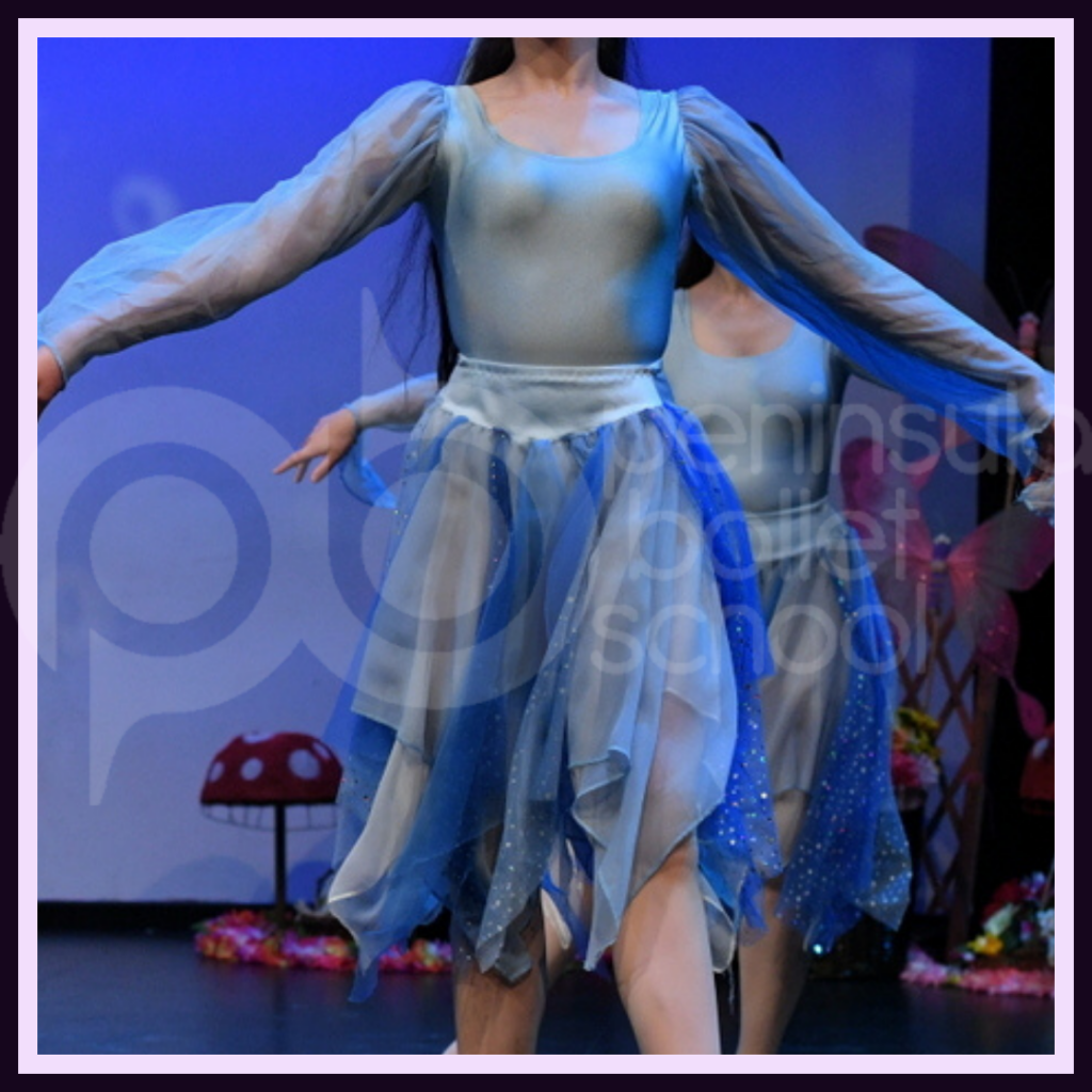 leo-skirt-set-x-5-peninsula-ballet-school