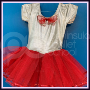 Tutu Dress